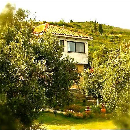 Kyra's Paradise * Potistika