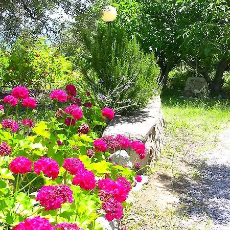 Kyra's Paradise * Potistika