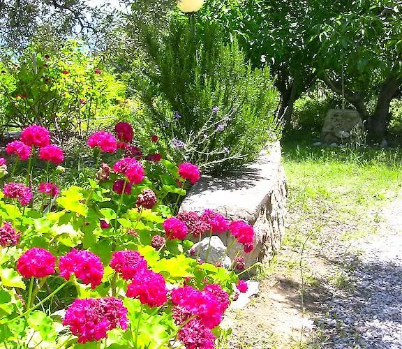 Kyra's Paradise * Potistika